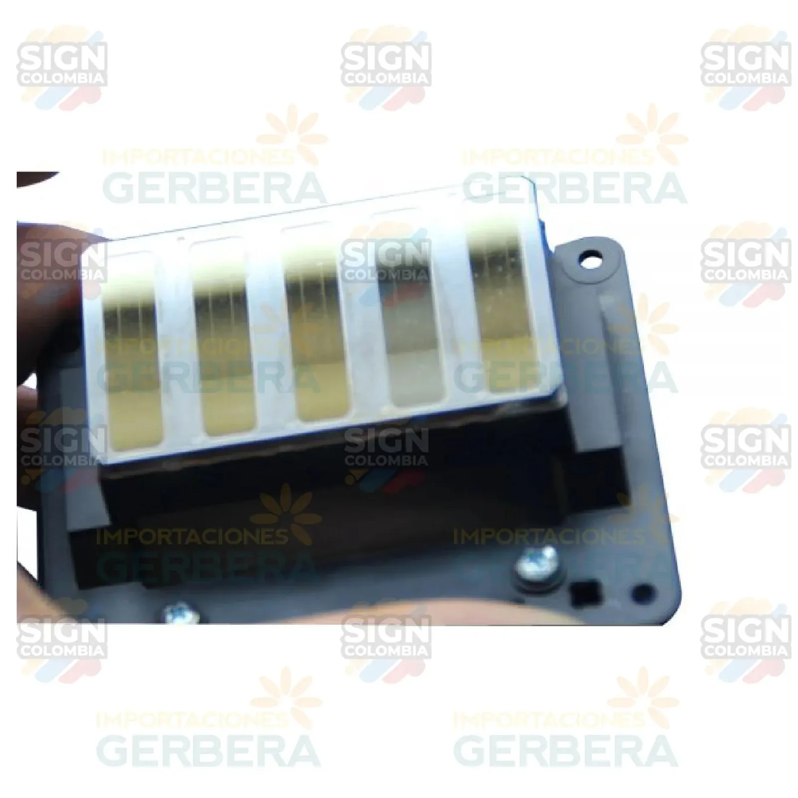 Cabezal Epson PRO 11880 / 11880C - F179000 / F179010 / F179020 / F179030